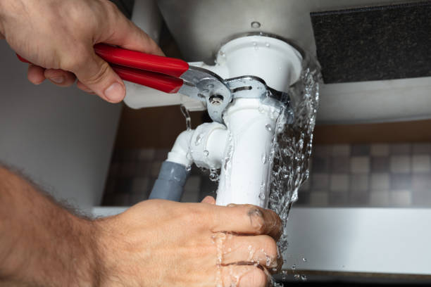 Best Water damage contractors near me  in Magnolia, NJ