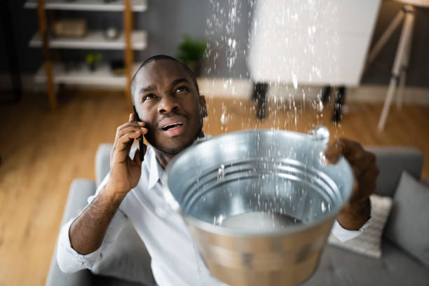 Best Flood restoration services  in Magnolia, NJ
