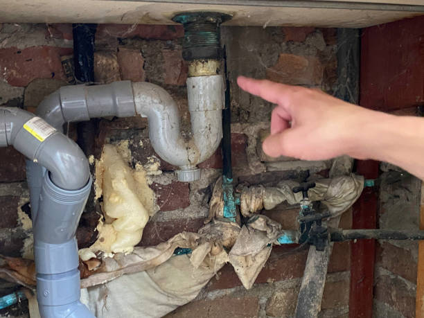 Best Basement water damage restoration  in Magnolia, NJ